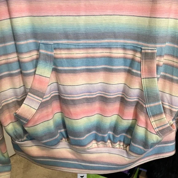 Wildfox Multicolor Striped Hoodie - Picture 3 of 7
